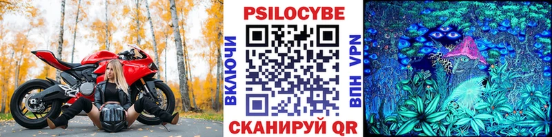 купить Мезень shop официальный сайт Псилоцибиновые грибы MAGIC MUSHROOMS